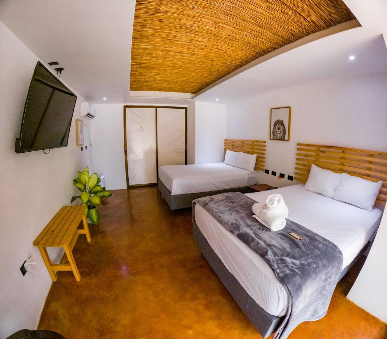Ávita Lodge Ciudad Quesada Exterior foto